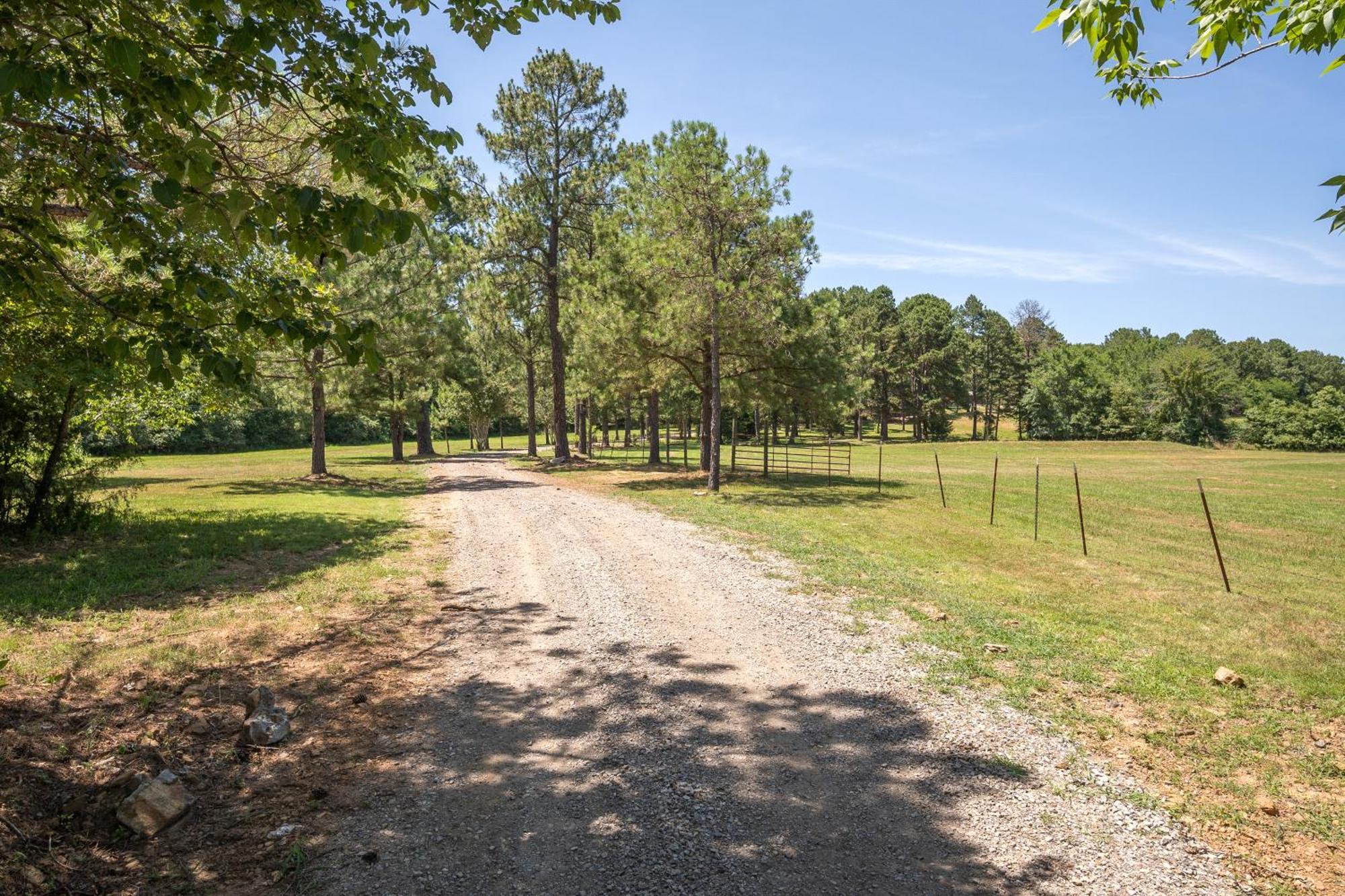 Spring Hill Farm - The Happy Hound Villa Alma ภายนอก รูปภาพ
